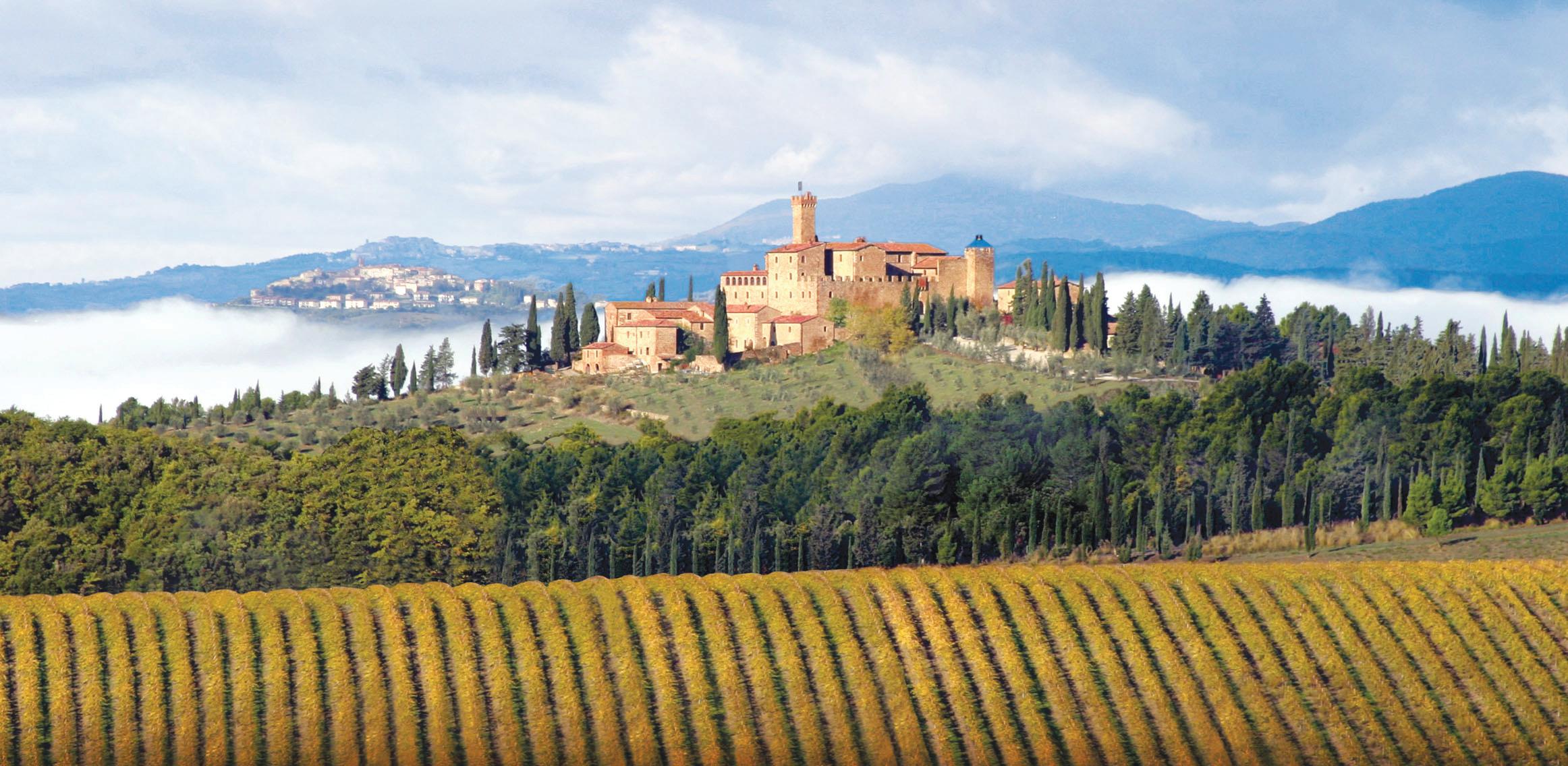 Castello Banfi 追求卓越四十年  引領布尼魯走向世界的功臣 - WineNow HK