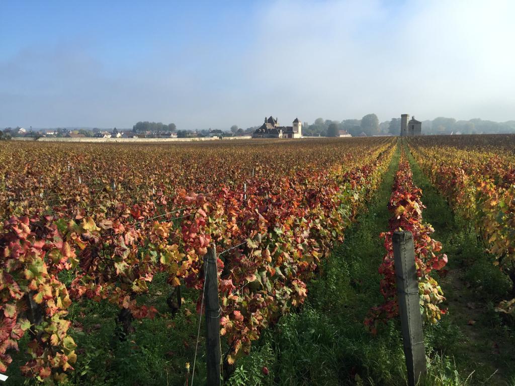 瘋狂價的bourgogne-rouge - WineNow HK