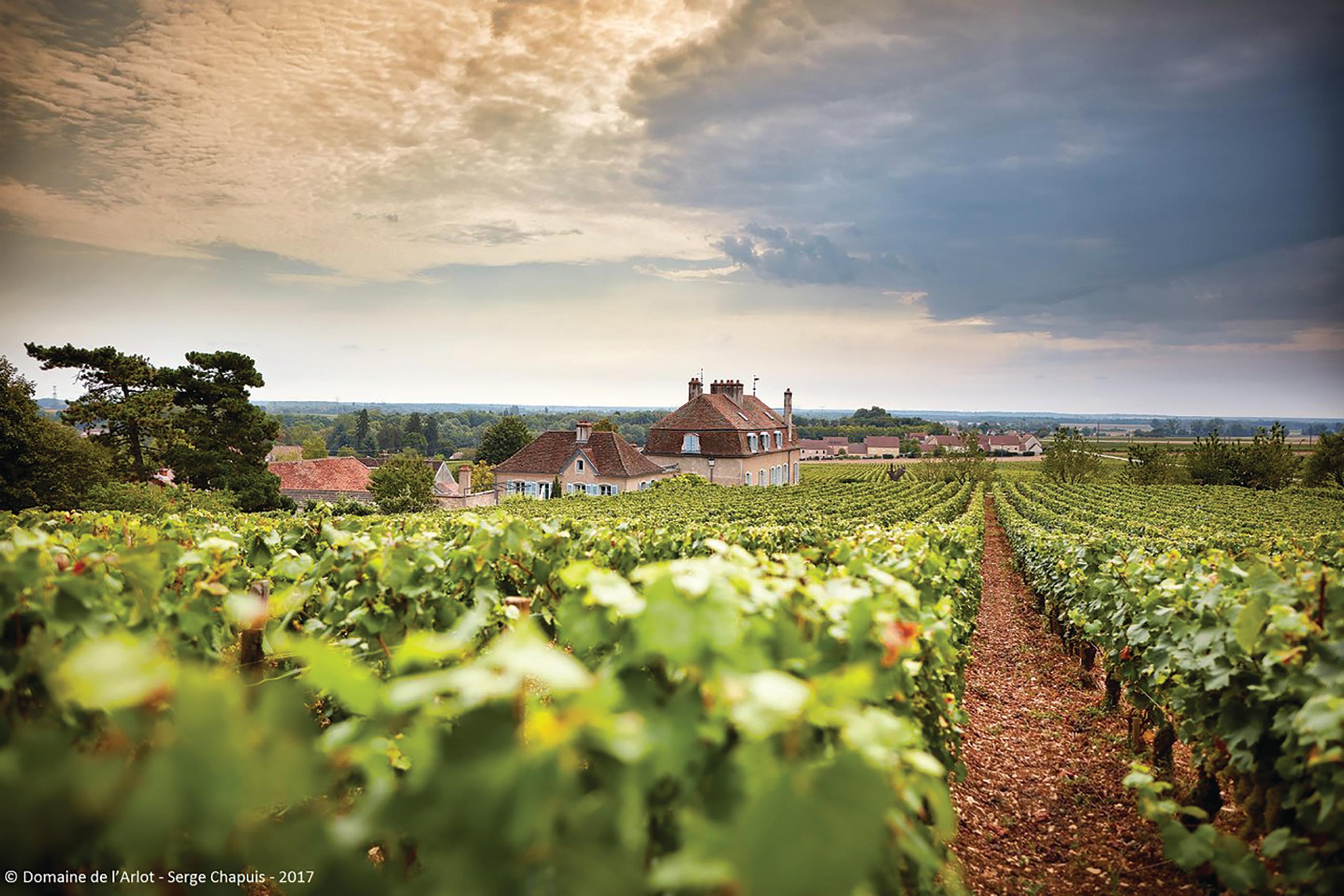 Domaine de l'Arlot 年逾百載的新興酒莊 - WineNow HK