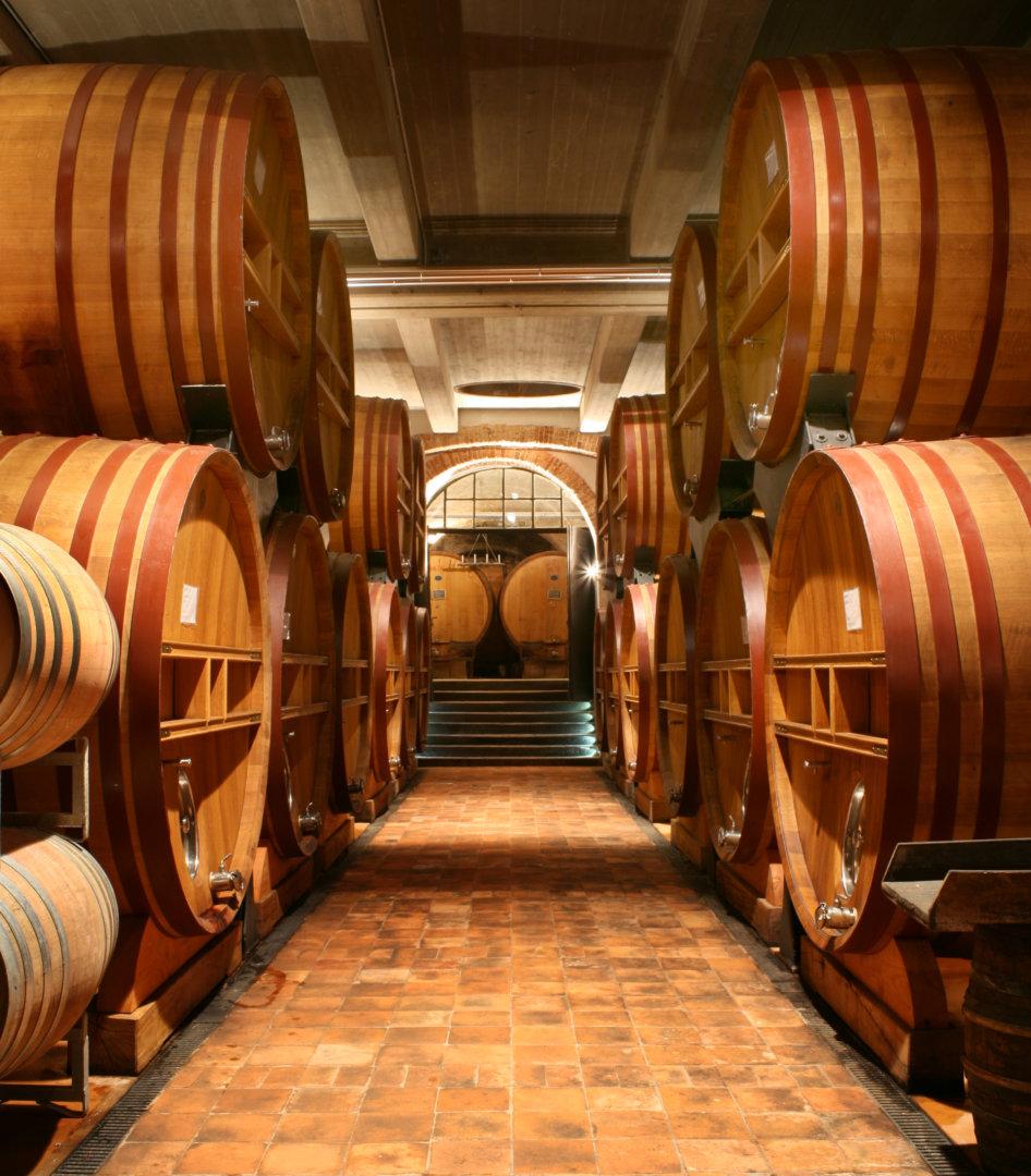 Pio Cesare酒莊成立140周年 - WineNow HK 專欄文章