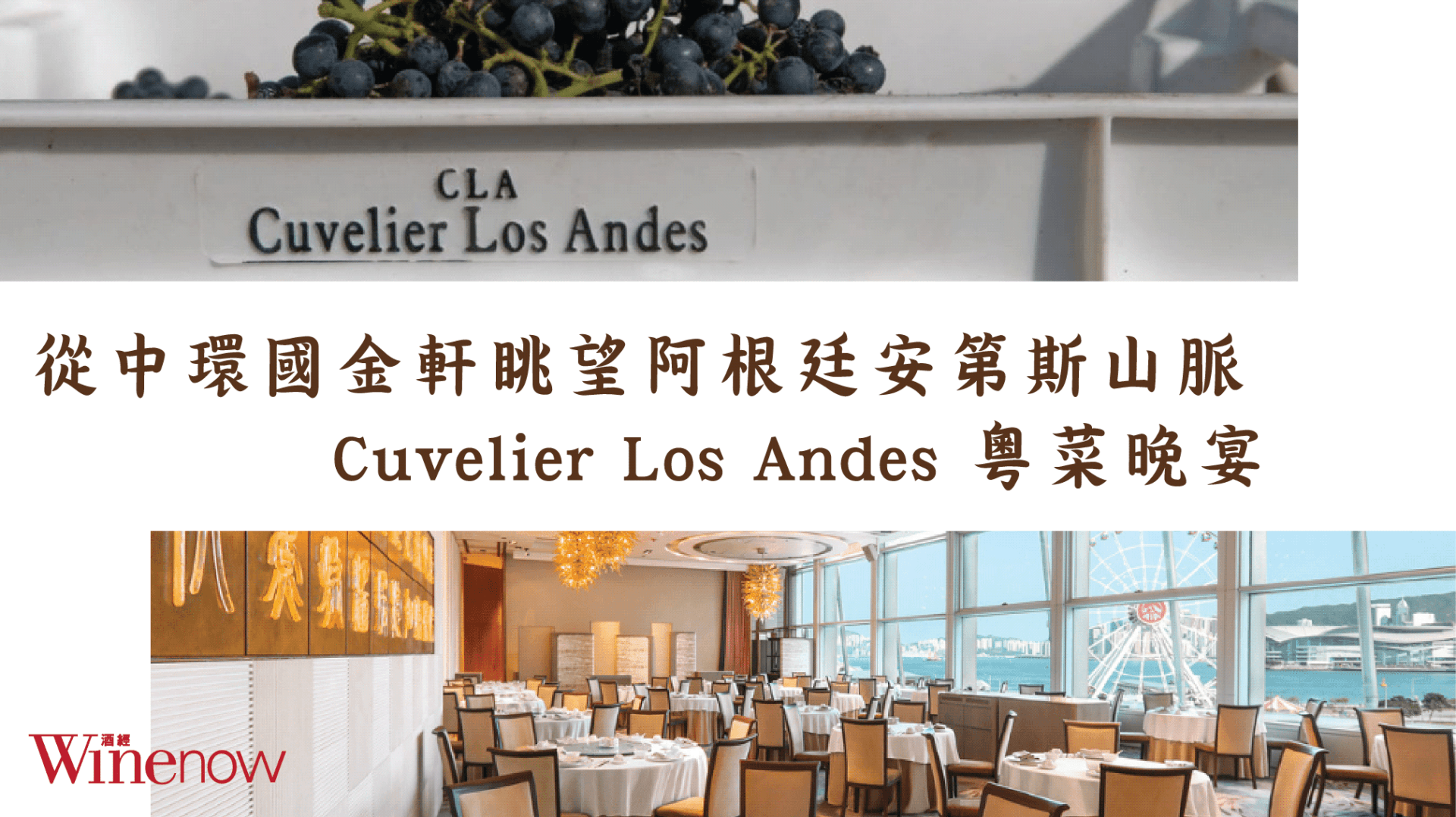 從中環國金軒眺望阿根廷安第斯山脈: Cuvelier Los Andes 粵菜晚宴 - WineNow